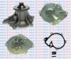 AQUAPLUS 85-7440 Water Pump